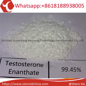 Testosterone Enanthate www.steroidchina.com