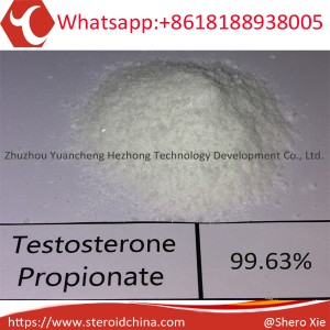 Testosterone Propionate  www.steroidchina.com
